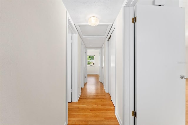 3857 SW 4th Pl, Gainesville, FL 32607 - corridor with light wood finished floors and attic access