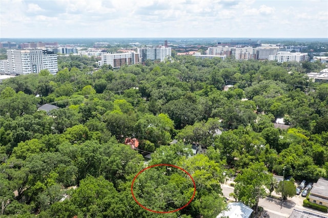 407 NW 8th St, Gainesville, FL 32601 - view of urban area