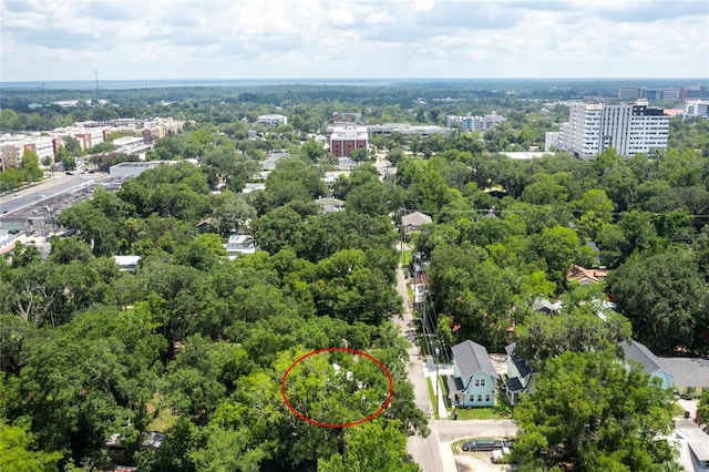 407 NW 8th St, Gainesville, FL 32601 - drone / aerial view