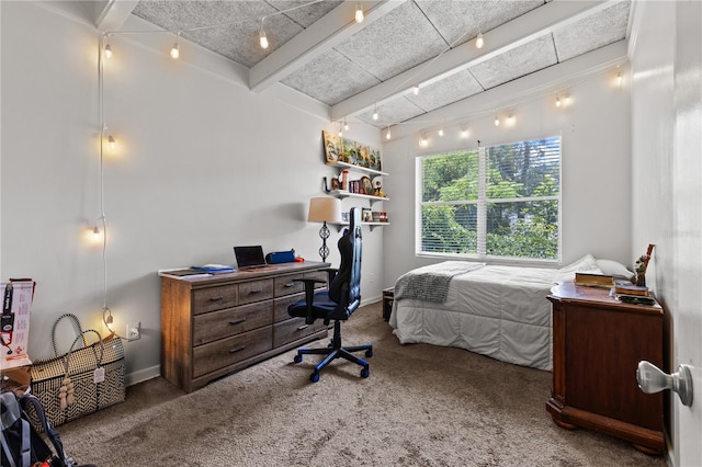 813 NW 22nd St, Gainesville, FL 32603 - carpeted bedroom with a desk and rail lighting