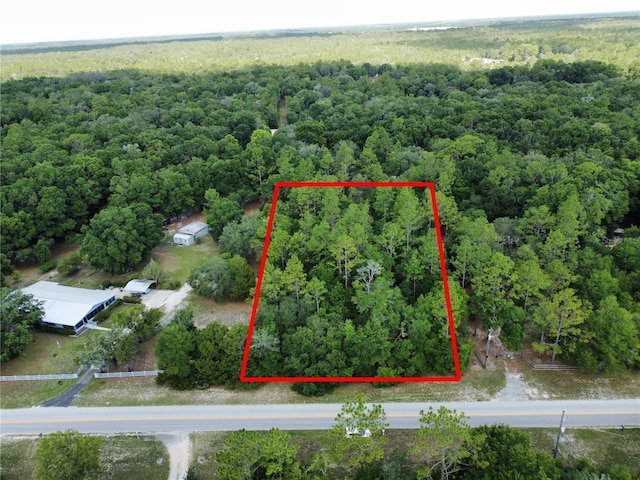 0 TBD NE 105th Ave, Archer, FL 32618 - photo 1