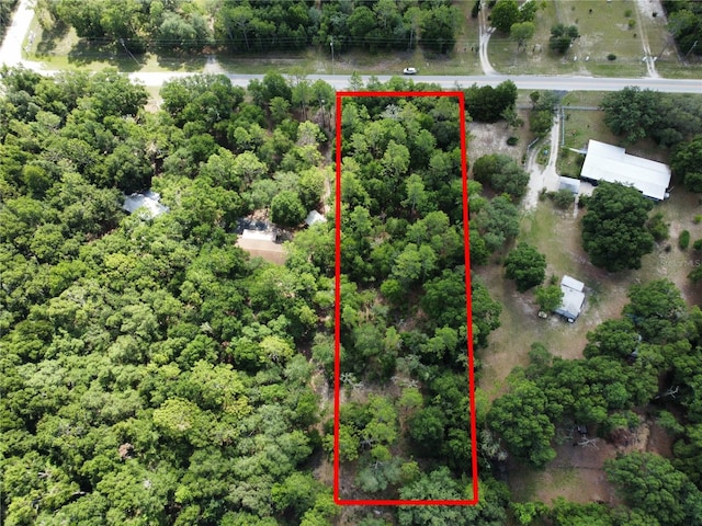 0 TBD NE 105th Ave, Archer, FL 32618 - photo 2