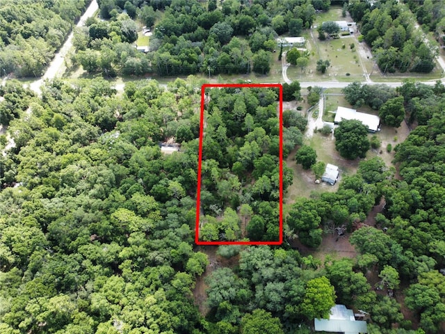 0 TBD NE 105th Ave, Archer, FL 32618 - photo 6