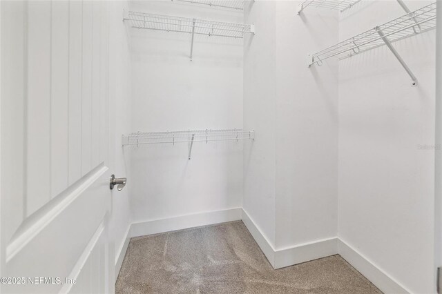 9311 NW 143rd St, Alachua, FL 32615 - photo 45