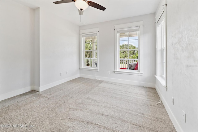 9311 NW 143rd St, Alachua, FL 32615 - photo 49