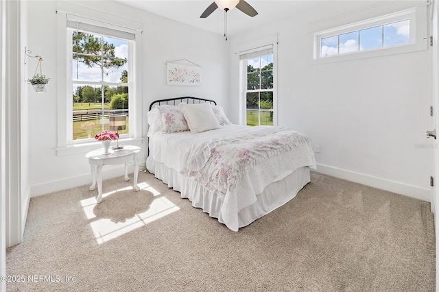 9311 NW 143rd St, Alachua, FL 32615 - photo 51
