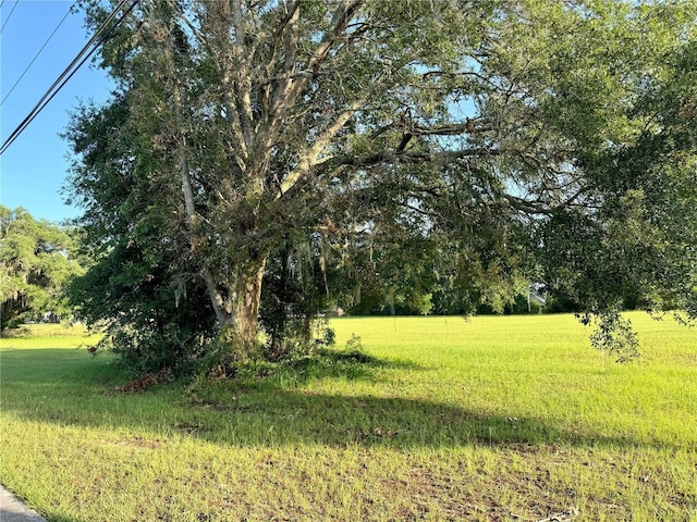 1107 SW Troy St, Lake City, FL 32024