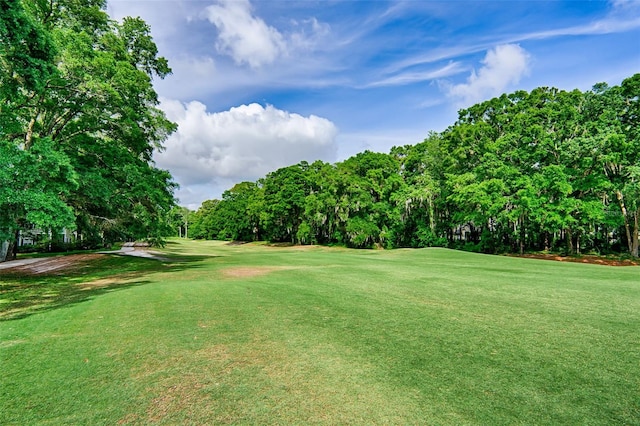 10000 SW 52nd Ave Unit 148, Gainesville, FL 32608 - photo 6
