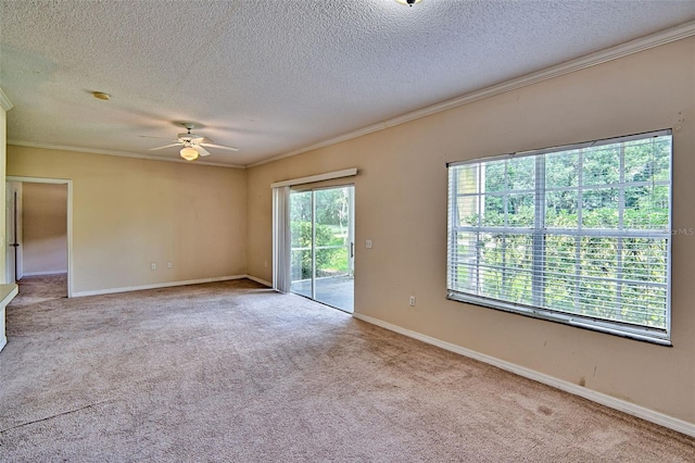 10000 SW 52nd Ave Unit 148, Gainesville, FL 32608 - photo 9