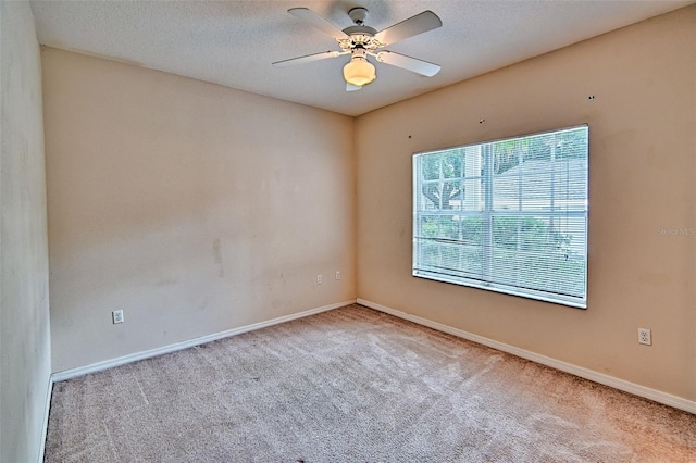 10000 SW 52nd Ave Unit 148, Gainesville, FL 32608 - photo 17