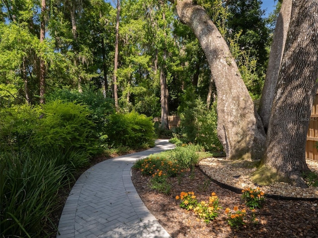 2261 NW 24th Ave, Gainesville, FL 32605 - surrounding community