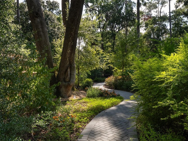 2261 NW 24th Ave, Gainesville, FL 32605 - surrounding community with a forest view