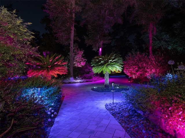 2261 NW 24th Ave, Gainesville, FL 32605 - view of yard at twilight
