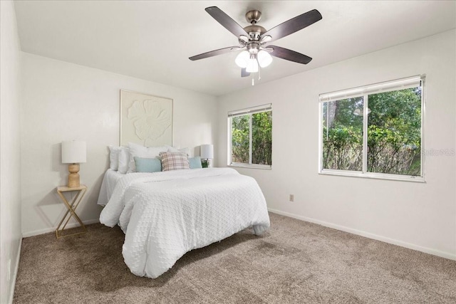 4337 NW 43rd Ter, Gainesville, FL 32606 - photo 16