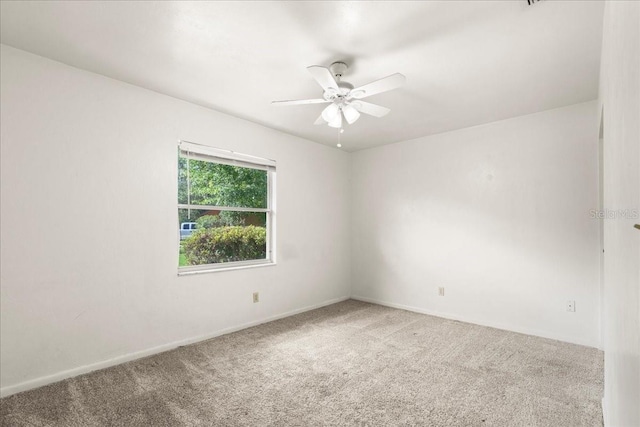 4337 NW 43rd Ter, Gainesville, FL 32606 - photo 28