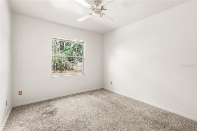 4337 NW 43rd Ter, Gainesville, FL 32606 - photo 30