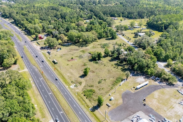 9627 US Highway 301, Hampton, FL 32044 - photo 5