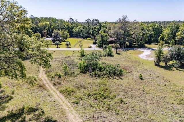 9627 US Highway 301, Hampton, FL 32044 - photo 33