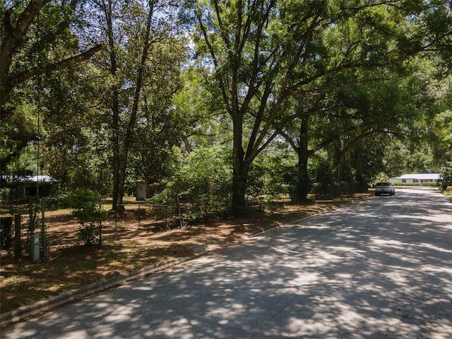 1805 SE 47th Ter, Gainesville, FL 32641 - photo 1