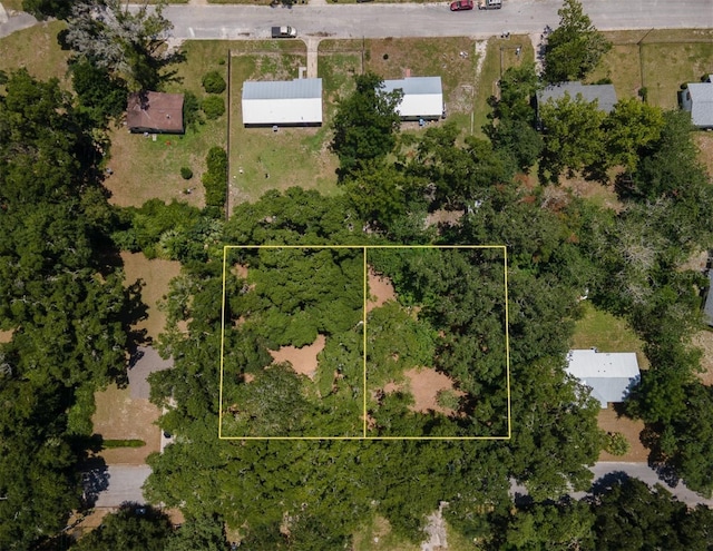 1805 SE 47th Ter, Gainesville, FL 32641 - photo 2