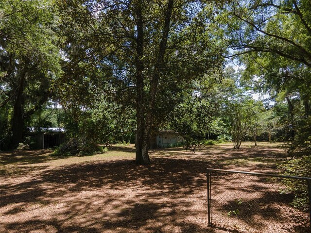1805 SE 47th Ter, Gainesville, FL 32641 - photo 3