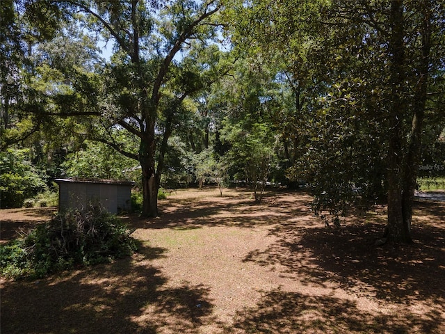 1805 SE 47th Ter, Gainesville, FL 32641 - photo 4