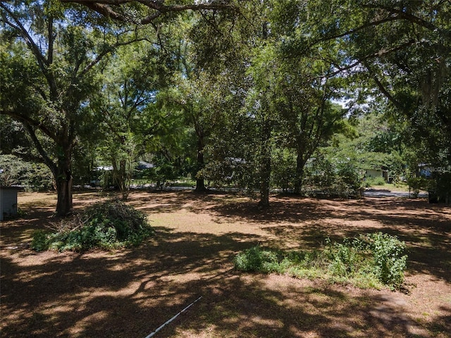 1805 SE 47th Ter, Gainesville, FL 32641 - photo 5