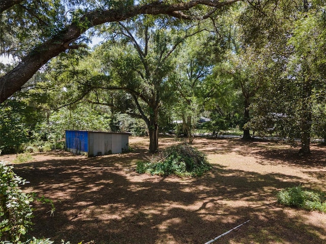 1805 SE 47th Ter, Gainesville, FL 32641 - photo 6