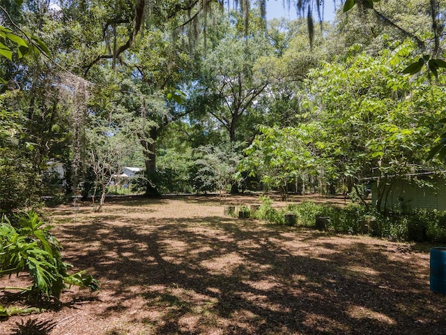 1805 SE 47th Ter, Gainesville, FL 32641 - photo 7