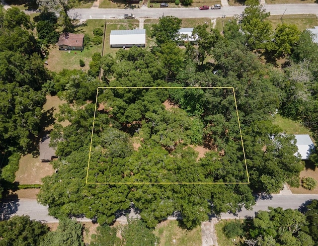 1805 SE 47th Ter, Gainesville, FL 32641 - photo 9