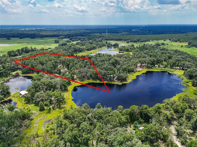 9816 87th Dr, Live Oak, FL 32060 - photo 2
