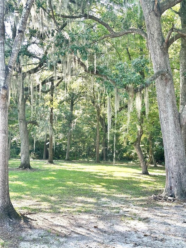 1810 NW 23rd Blvd Unit 272, Gainesville, FL 32605 - view of green lawn with a wooded view