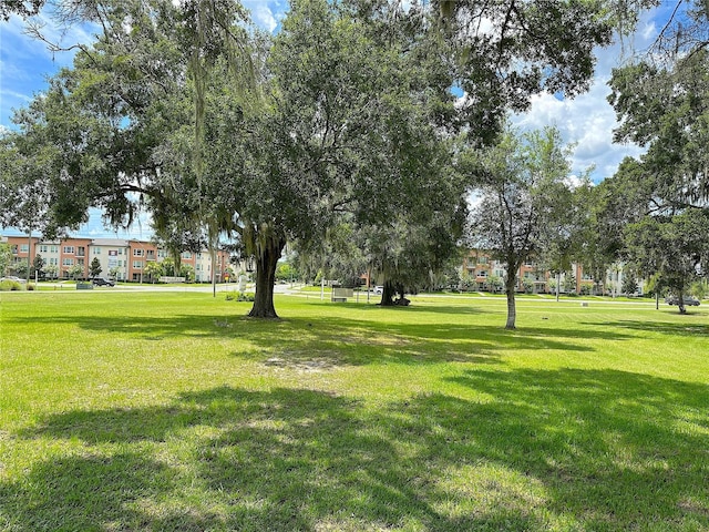 SW Archer Rd, Gainesville, FL 32608 - photo 2