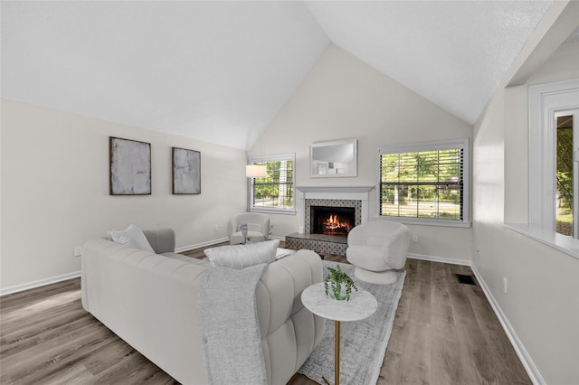 2101 SW 79th Dr, Gainesville, FL 32607 - living room featuring a fireplace, wood finished floors, and vaulted ceiling