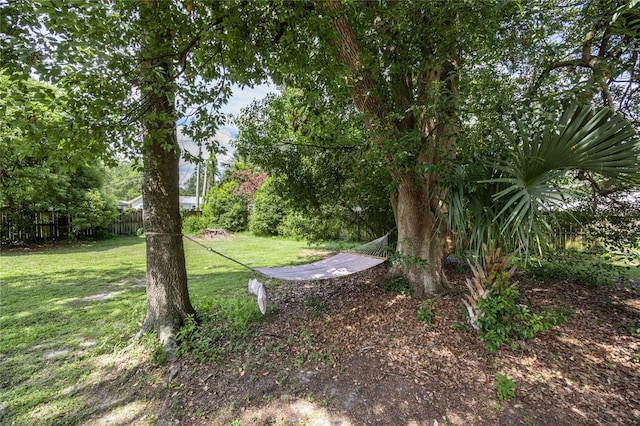 5022 NW 34th Ter, Gainesville, FL 32605 - view of yard