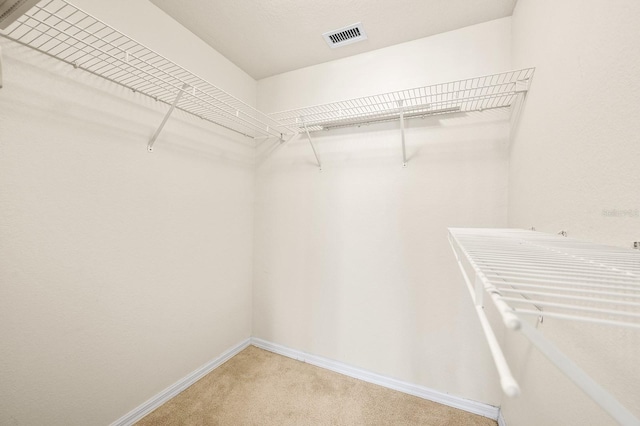 5133 SW 91st Ct Unit G202, Gainesville, FL 32608 - walk in closet with carpet