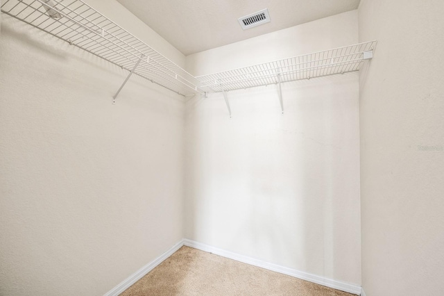 5133 SW 91st Ct Unit G202, Gainesville, FL 32608 - walk in closet with carpet