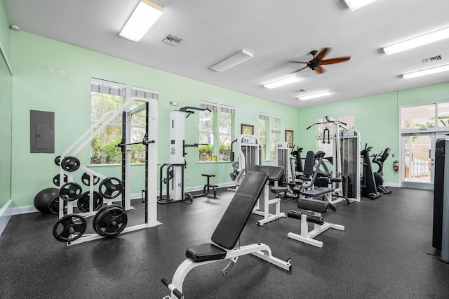 5133 SW 91st Ct Unit G202, Gainesville, FL 32608 - workout area featuring electric panel and ceiling fan