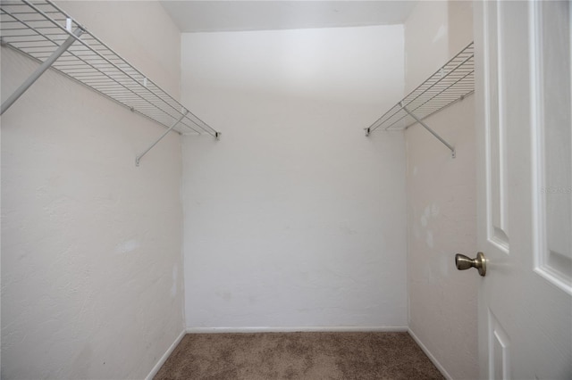 501 SW 75th St Unit E8, Gainesville, FL 32607 - photo 15