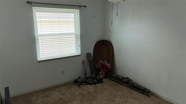 32932 Crooked Oaks Ln, Leesburg, FL 34748 - spare room with carpet floors and healthy amount of natural light