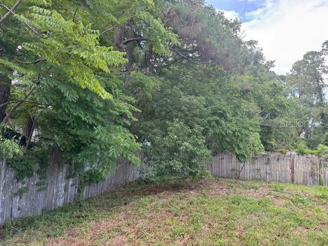 10172 Melanie Ave, Jacksonville, FL 32218 - photo 4