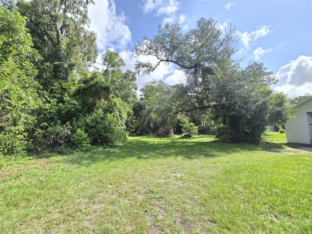 18248 High Springs Main St, High Springs, FL 32643 - view of green lawn