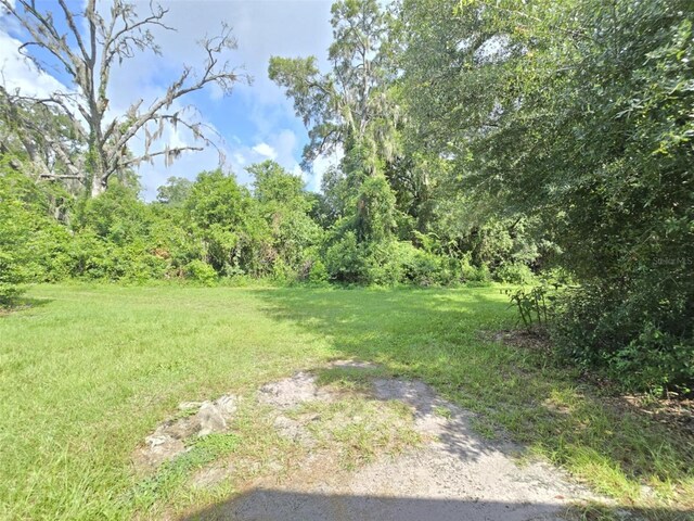 18248 High Springs Main St, High Springs, FL 32643 - view of yard with a wooded view