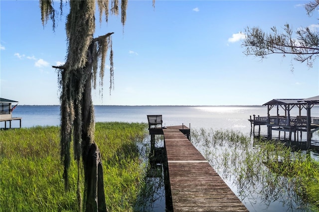 7929 NE 221st St, Melrose, FL 32666 - photo 39
