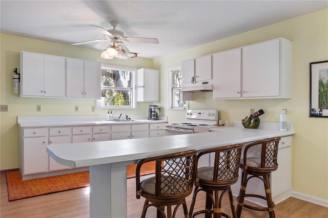 7929 NE 221st St, Melrose, FL 32666 - photo 9