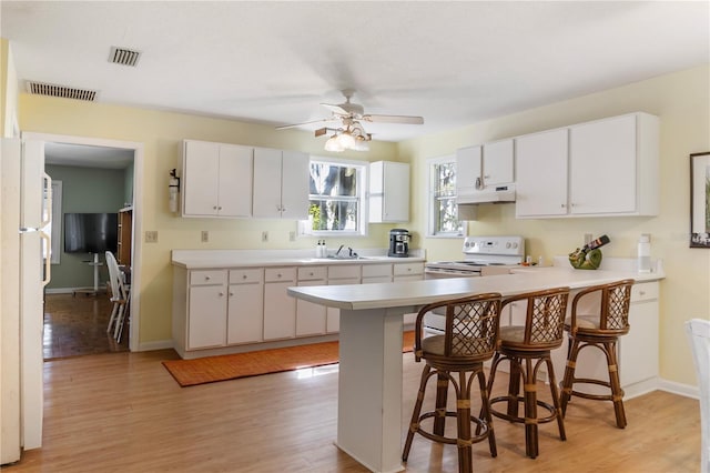 7929 NE 221st St, Melrose, FL 32666 - photo 12
