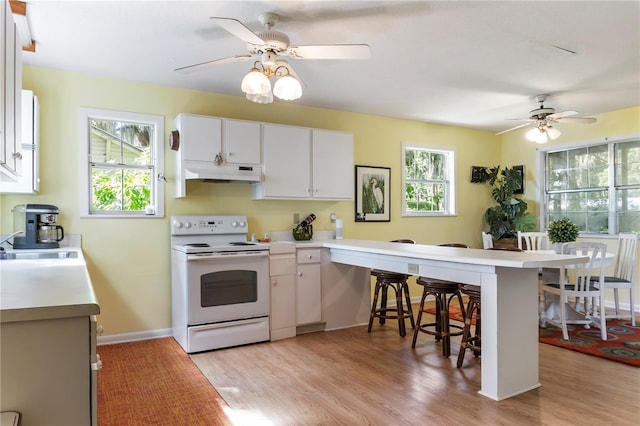 7929 NE 221st St, Melrose, FL 32666 - photo 13