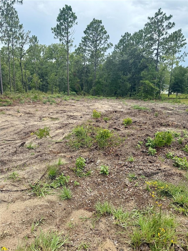 TBD NE 151st Ter, Williston, FL 32696 - photo 1