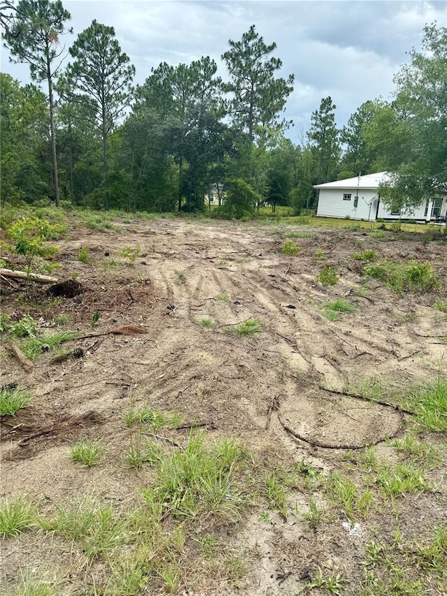TBD NE 151st Ter, Williston, FL 32696 - photo 3