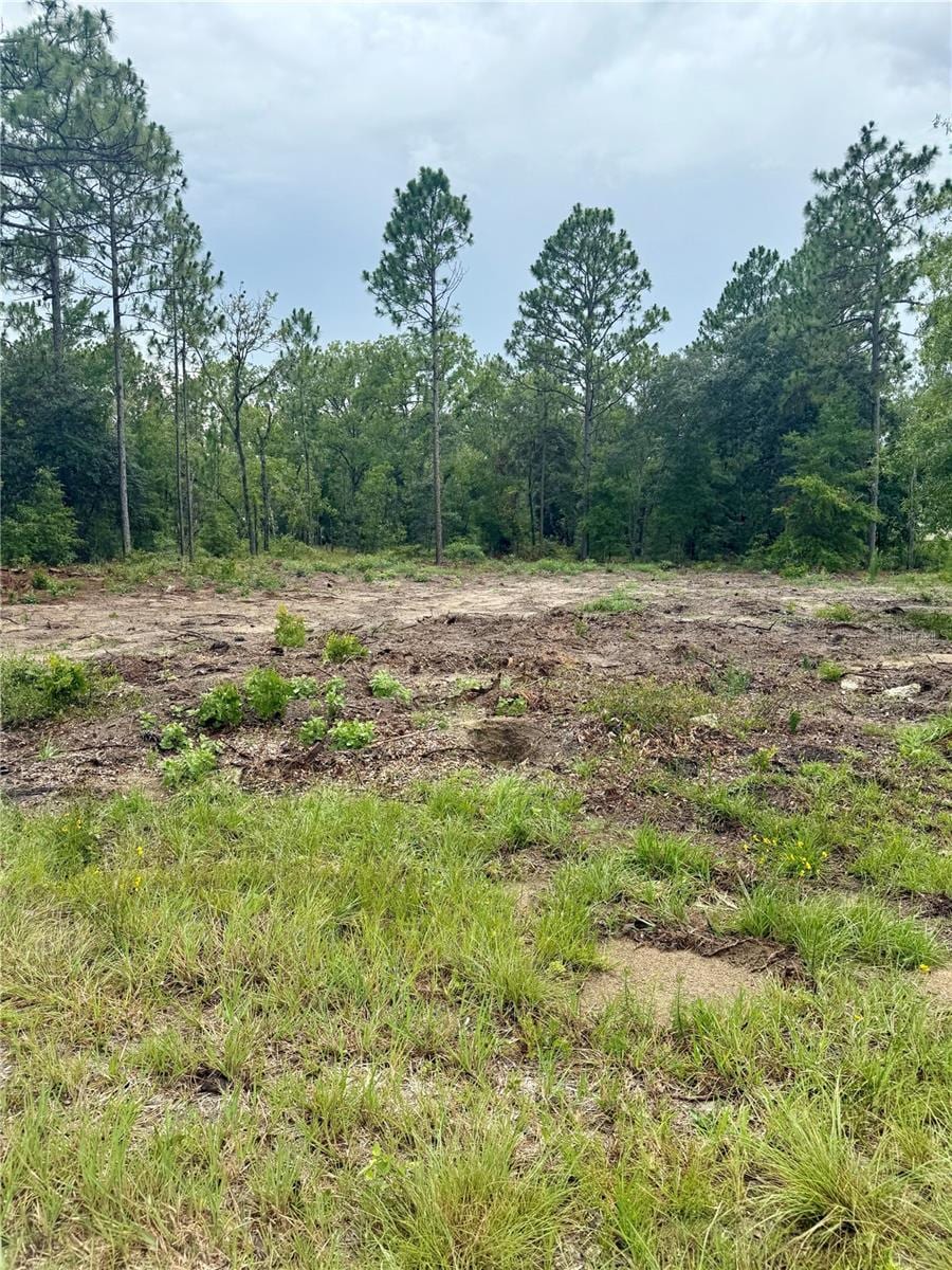 TBD NE 151st Ter, Williston, FL 32696 - photo 4